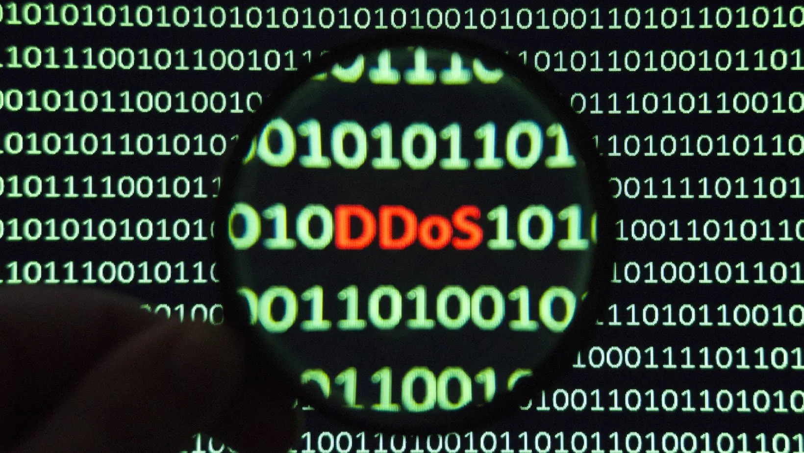 Choosing the Right DDoS Protection Company in a Challenging Digital Landscape